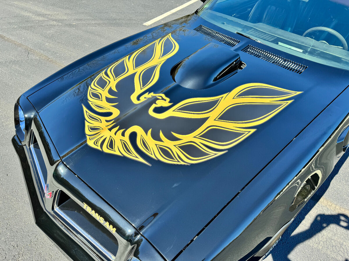 1976 Pontiac Trans Am Trans Am - photo 10