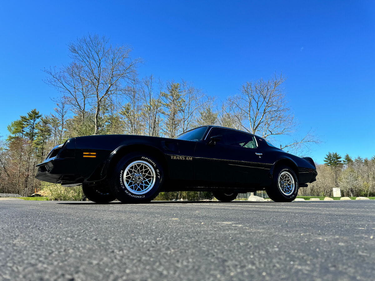 1976 Pontiac Trans Am Trans Am - photo 11