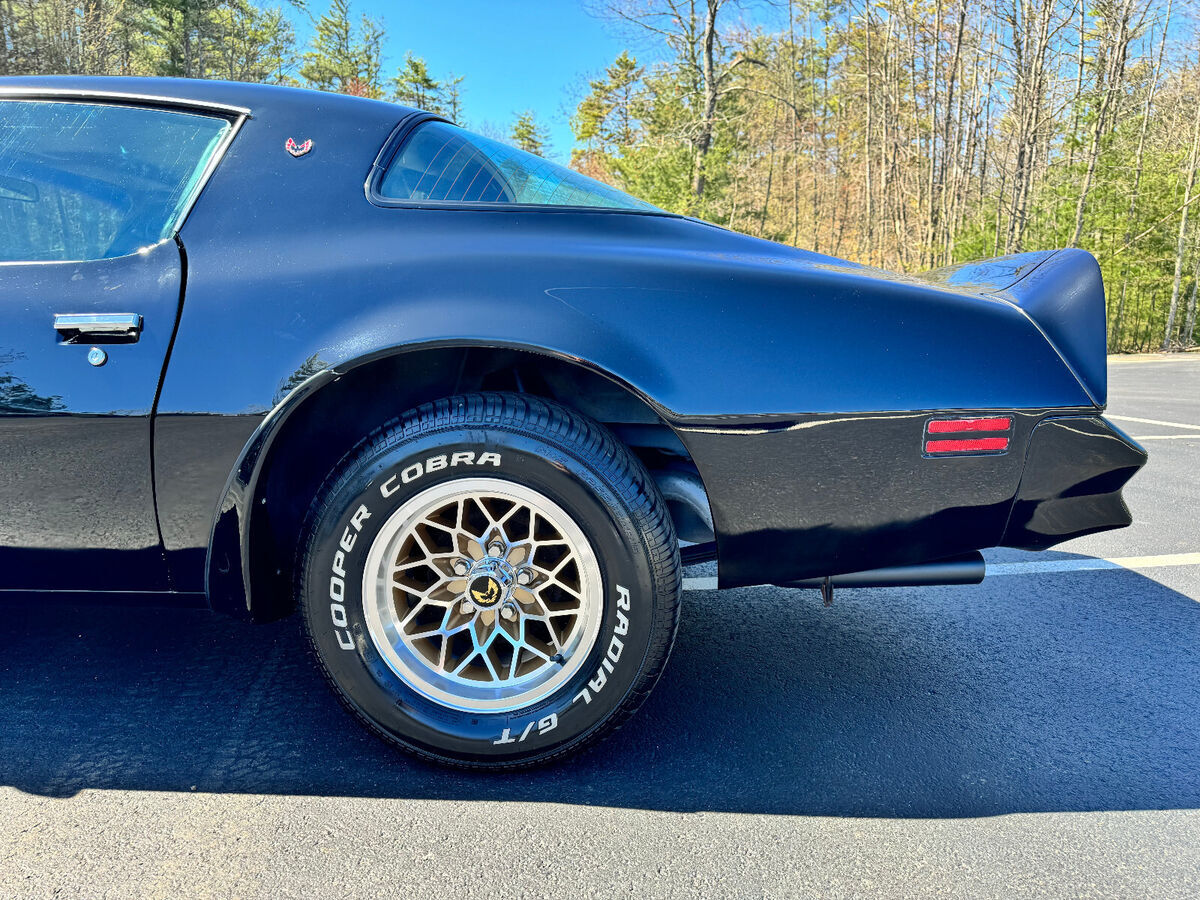 1976 Pontiac Trans Am Trans Am - photo 13