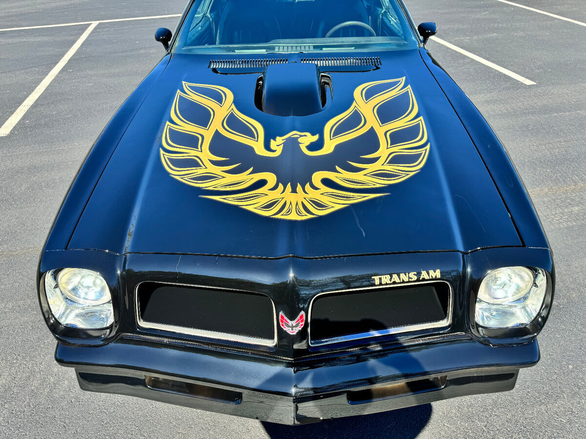 1976 Pontiac Trans Am Trans Am - photo 9