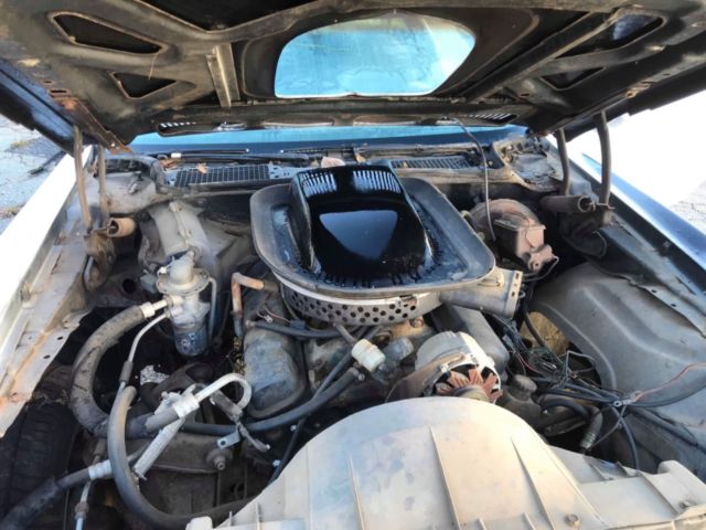1976 Pontiac Trans Am - photo 4