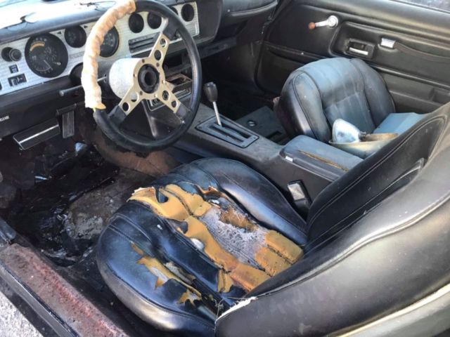 1976 Pontiac Trans Am - photo 5