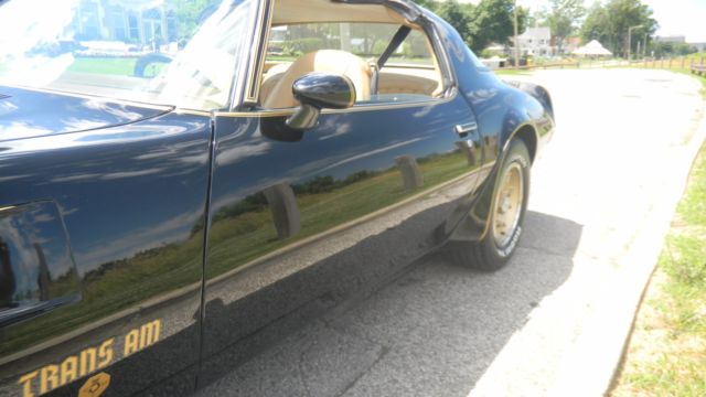 1976 Pontiac Trans Am - photo 11
