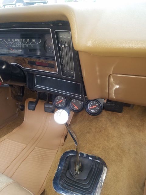 1976 Pontiac Ventura Base - photo 11