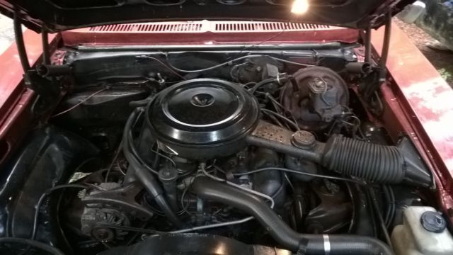 1976 Buick Skylark - photo 6