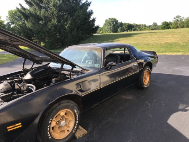 1976 Special Edition Trans Am Bandit Limited Y82 50k Miles Rare Hurst T Tops 1976 Pontiac Trans Am Limited Edition Bandit