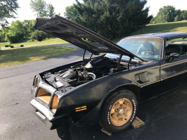 1976 Pontiac Trans Am Limited Edition Bandit - photo 4