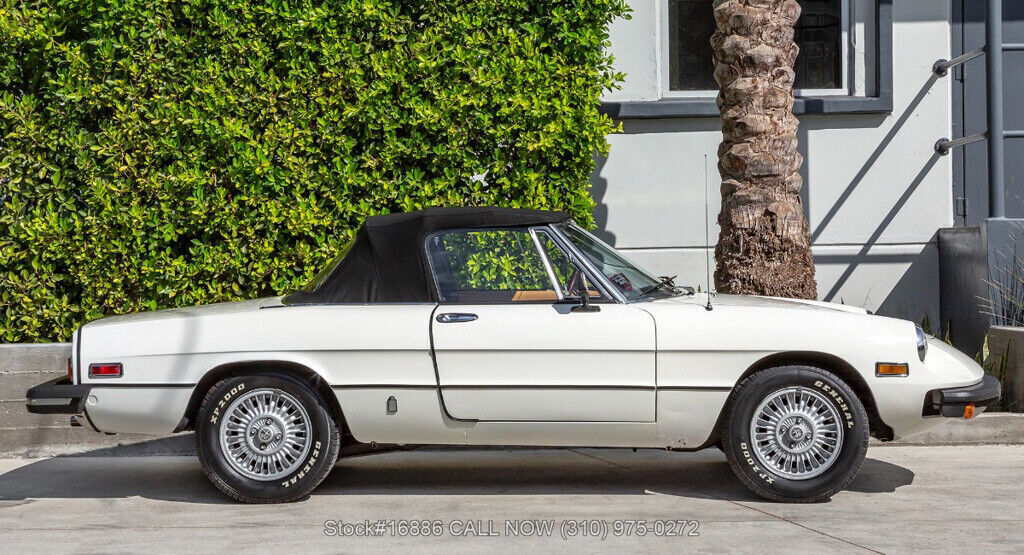 1976 Alfa Romeo 2000 Spider Veloce - photo 10