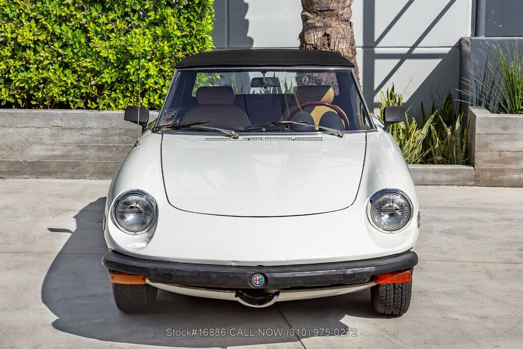 1976 Alfa Romeo 2000 Spider Veloce - photo 9