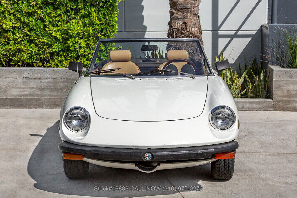 1976 Alfa Romeo 2000 Spider Veloce - photo 2
