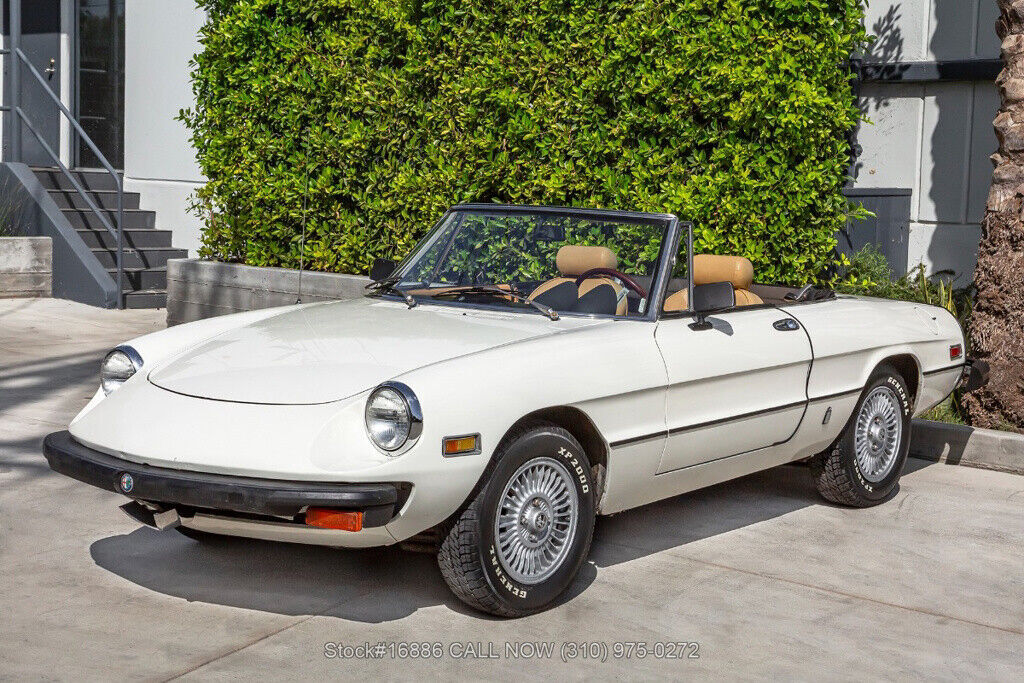 1976 Alfa Romeo 2000 Spider Veloce - photo 8