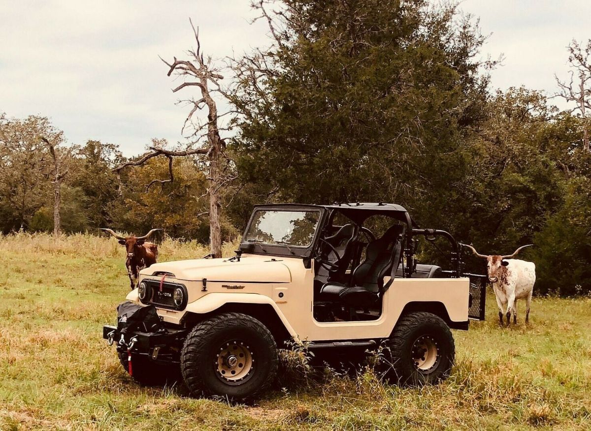 1976 Toyota Land Cruiser - photo 3