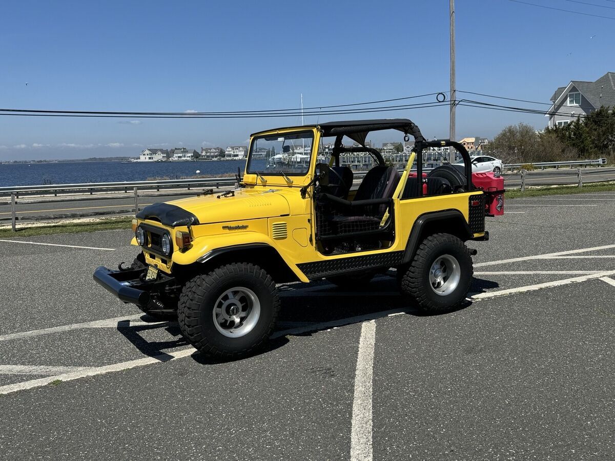 1976 Toyota Land Cruiser Bikini - photo 2
