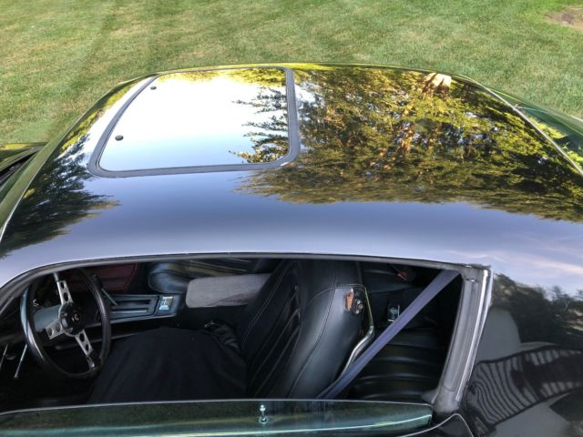 1976 Pontiac Trans Am - photo 11