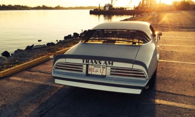1976 Pontiac Trans Am Trans Am Firebird - photo 2