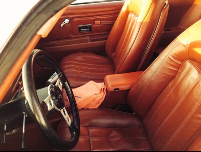 1976 Pontiac Trans Am Trans Am Firebird - photo 4