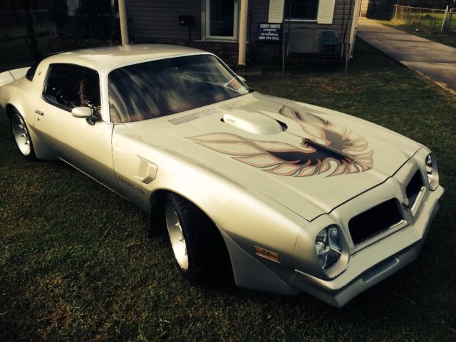 1976 Pontiac Trans Am Trans Am Firebird - photo 6