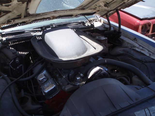 1976 Pontiac Trans Am - photo 8