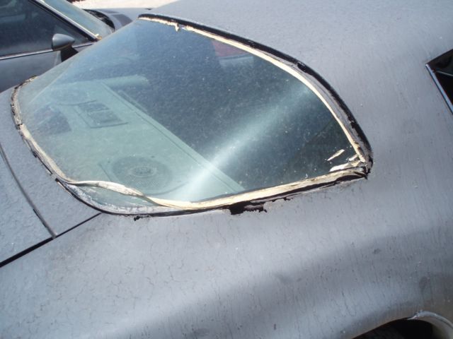 1976 Pontiac Trans Am - photo 9