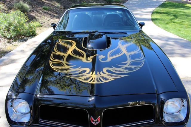 1976 Pontiac Trans Am - photo 5