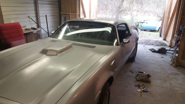 1976 Pontiac Trans Am - photo 3