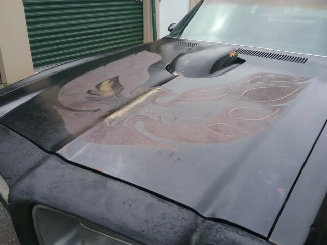 1976 Pontiac Firebird - photo 5