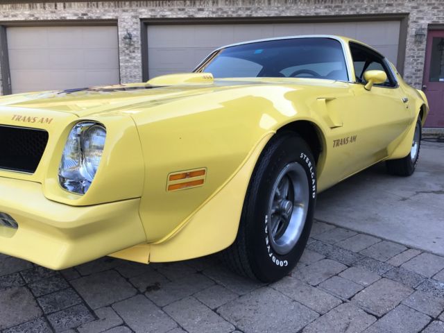 1976 Pontiac Firebird Trans Am Coupe 2-Door - photo 10