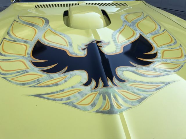 1976 Pontiac Firebird Trans Am Coupe 2-Door - photo 11