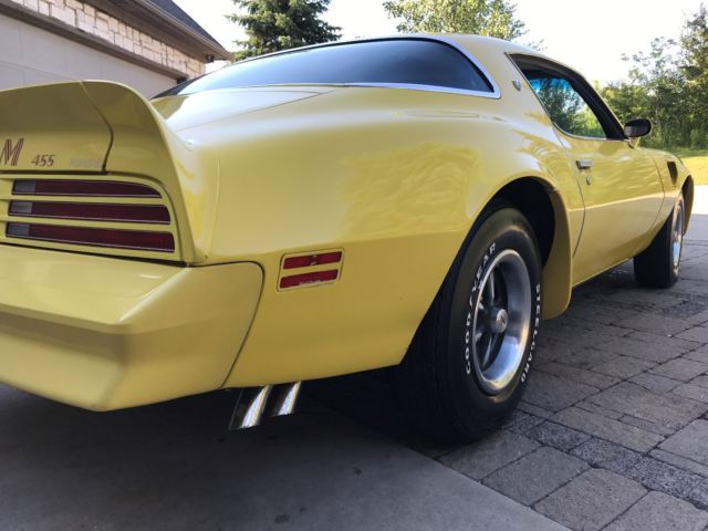 1976 Pontiac Firebird Trans Am Coupe 2-Door - photo 13