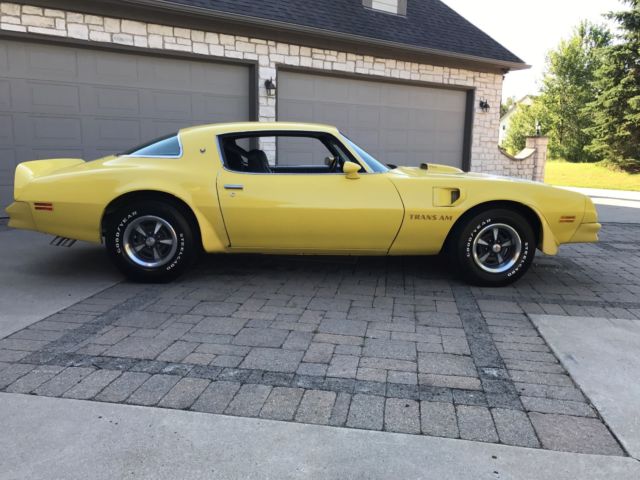 1976 Pontiac Firebird Trans Am Coupe 2-Door - photo 5