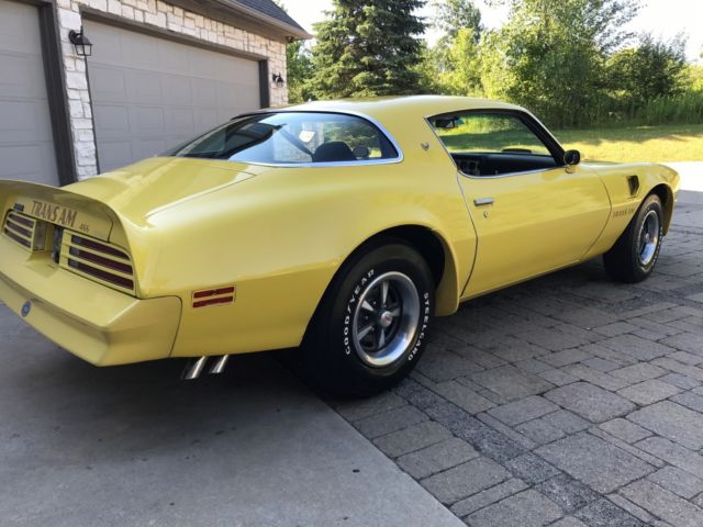 1976 Pontiac Firebird Trans Am Coupe 2-Door - photo 6