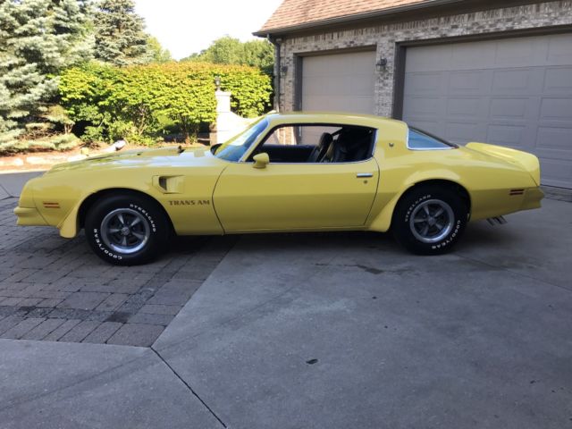 1976 Pontiac Firebird Trans Am Coupe 2-Door - photo 9