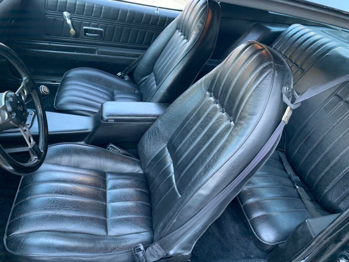 1976 Pontiac Trans Am Black - photo 13