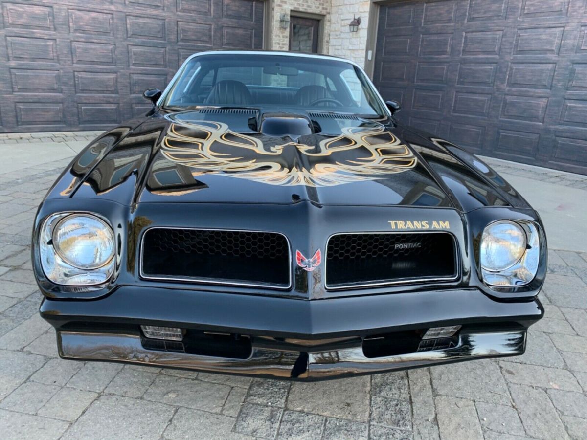1976 Pontiac Trans Am Black - photo 8
