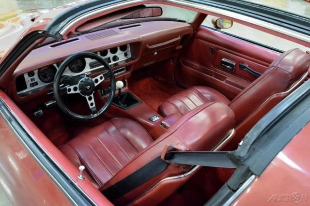 1976 Pontiac Firebird Trans-Am - photo 11