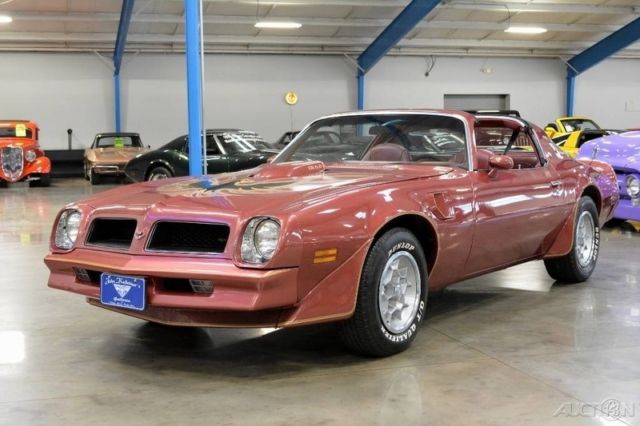 1976 Pontiac Firebird Trans-Am - photo 3