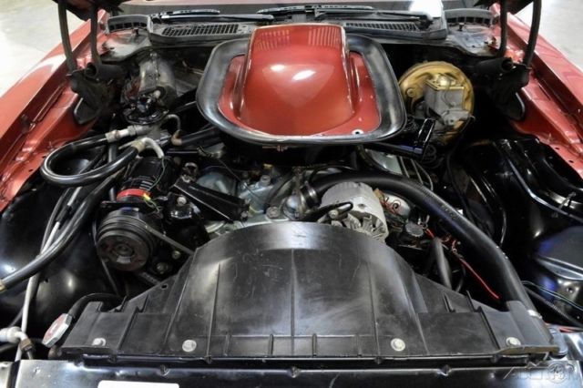 1976 Pontiac Firebird Trans-Am - photo 9