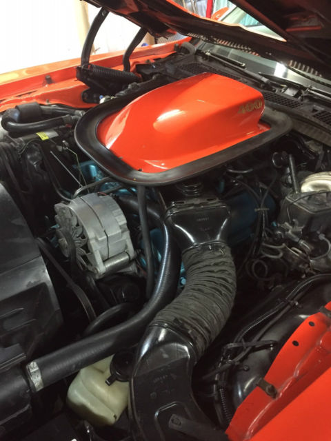 1976 Pontiac Trans Am Trans Am - photo 8