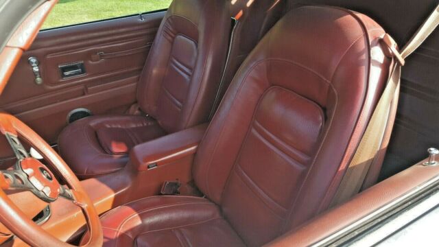 1976 Pontiac Trans Am - photo 9