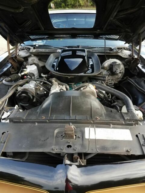 1976 Pontiac Trans Am Gold - photo 2