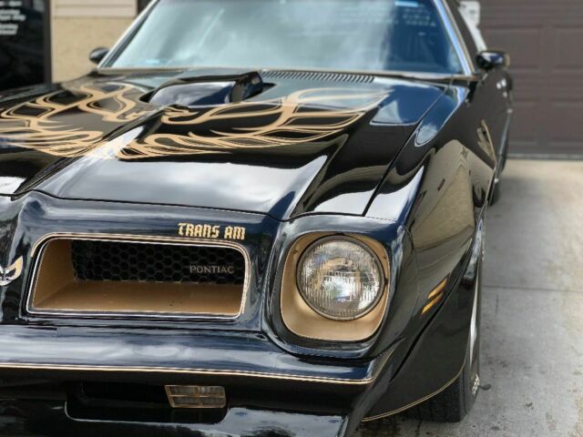 1976 Pontiac Trans Am Gold - photo 8