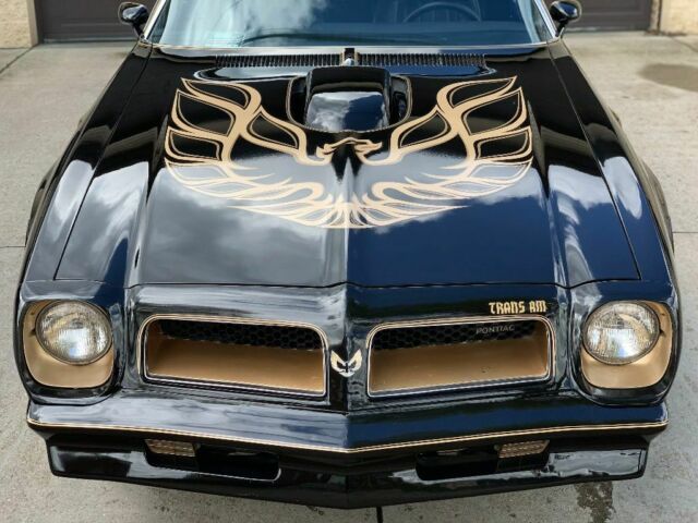 1976 Pontiac Trans Am Gold - photo 9
