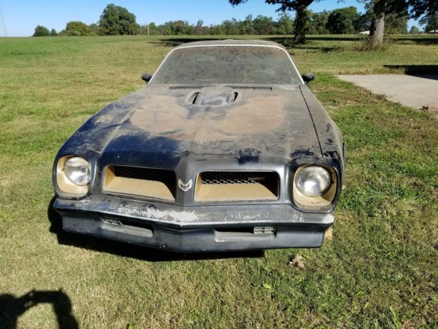 1976 Trans Am Golden Anniversary 1976 Pontiac Trans Am special edition