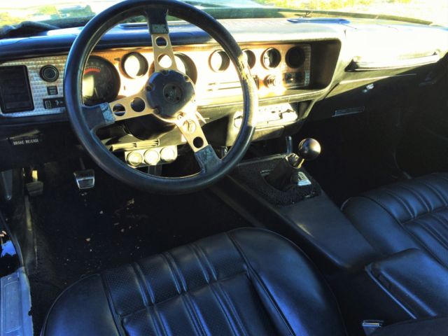 1976 Pontiac Trans Am - photo 13