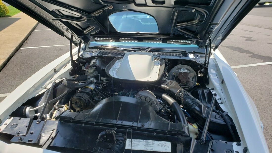 1976 Pontiac Trans Am - photo 13