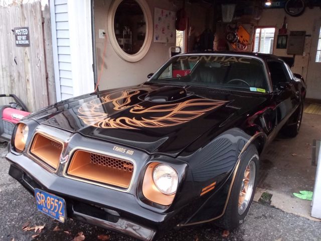 1976 Pontiac Trans Am - photo 11
