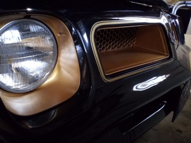 1976 Pontiac Trans Am - photo 6