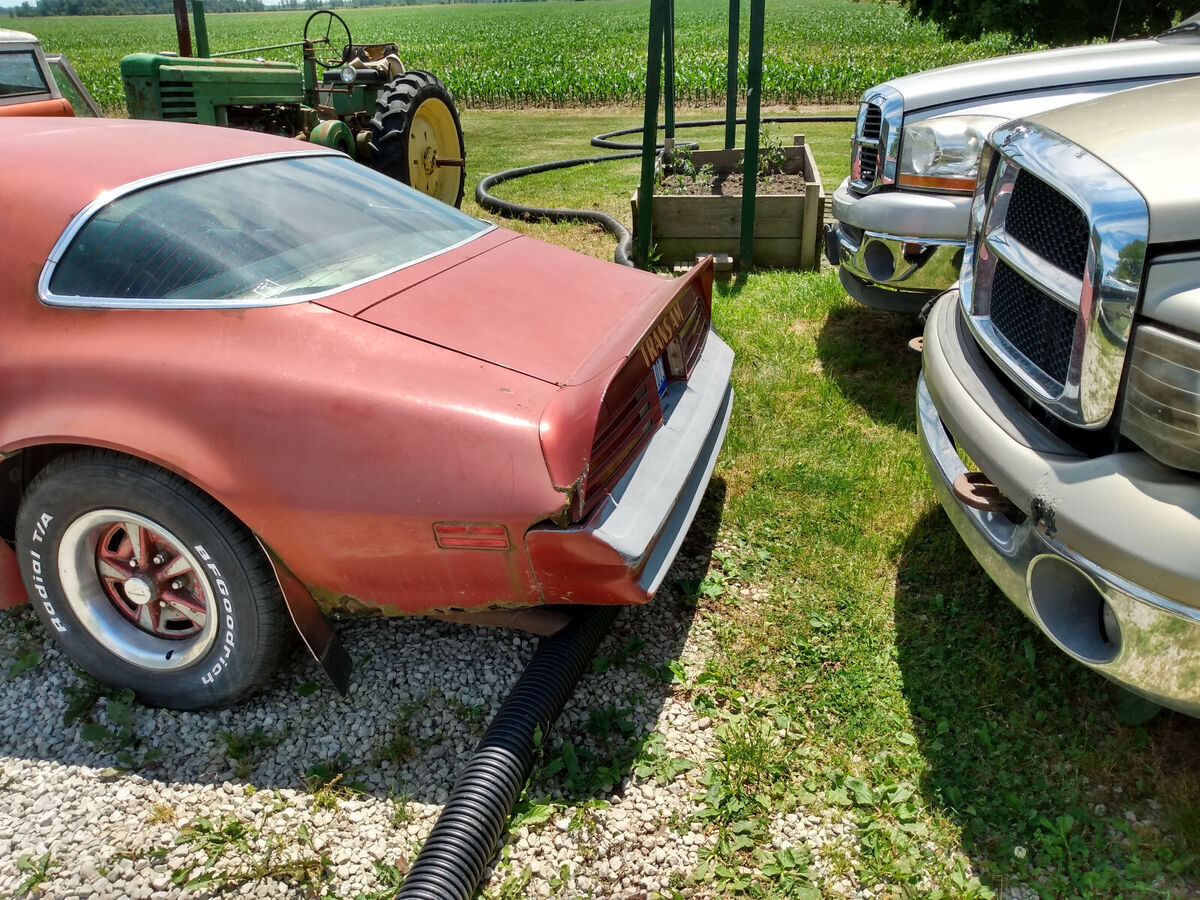1976 Pontiac Trans Am - photo 2