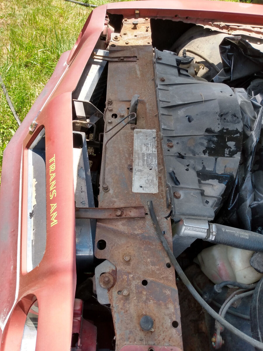 1976 Pontiac Trans Am - photo 4