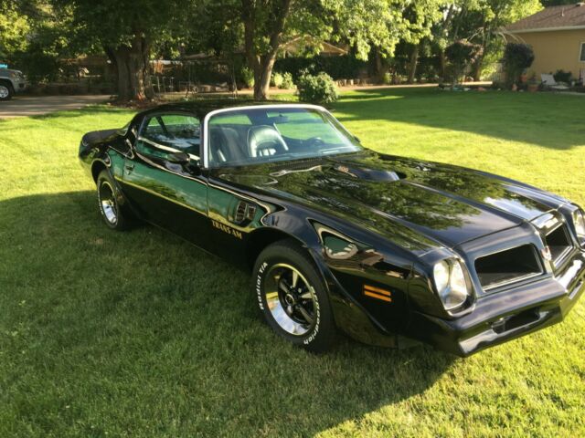 1976 Pontiac Trans Am Trans Am - photo 13